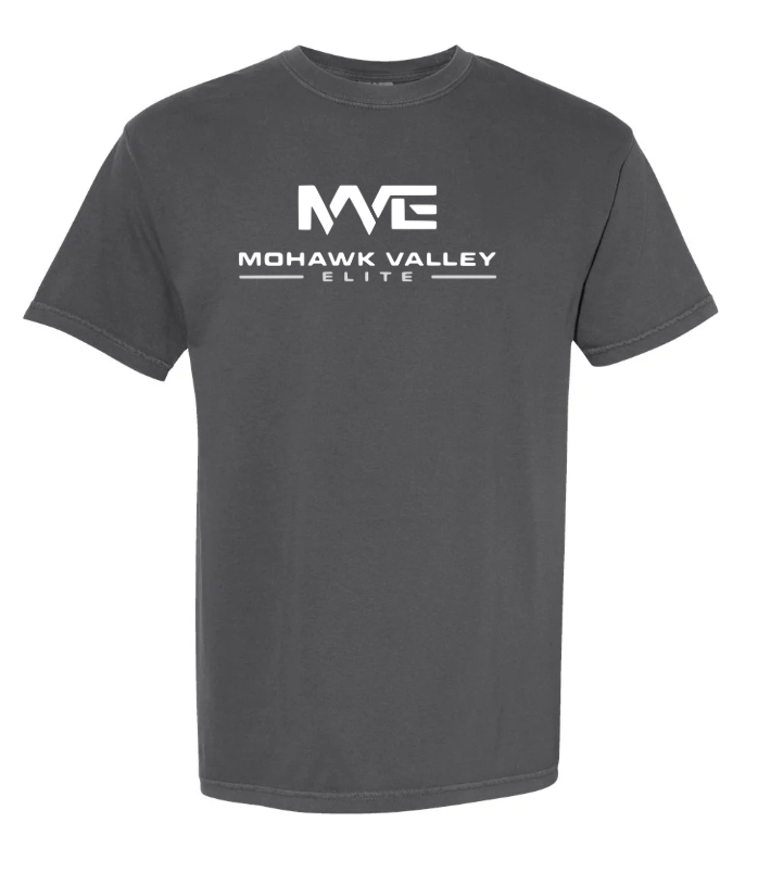 Cotton T Shirt (Comfort Colors)